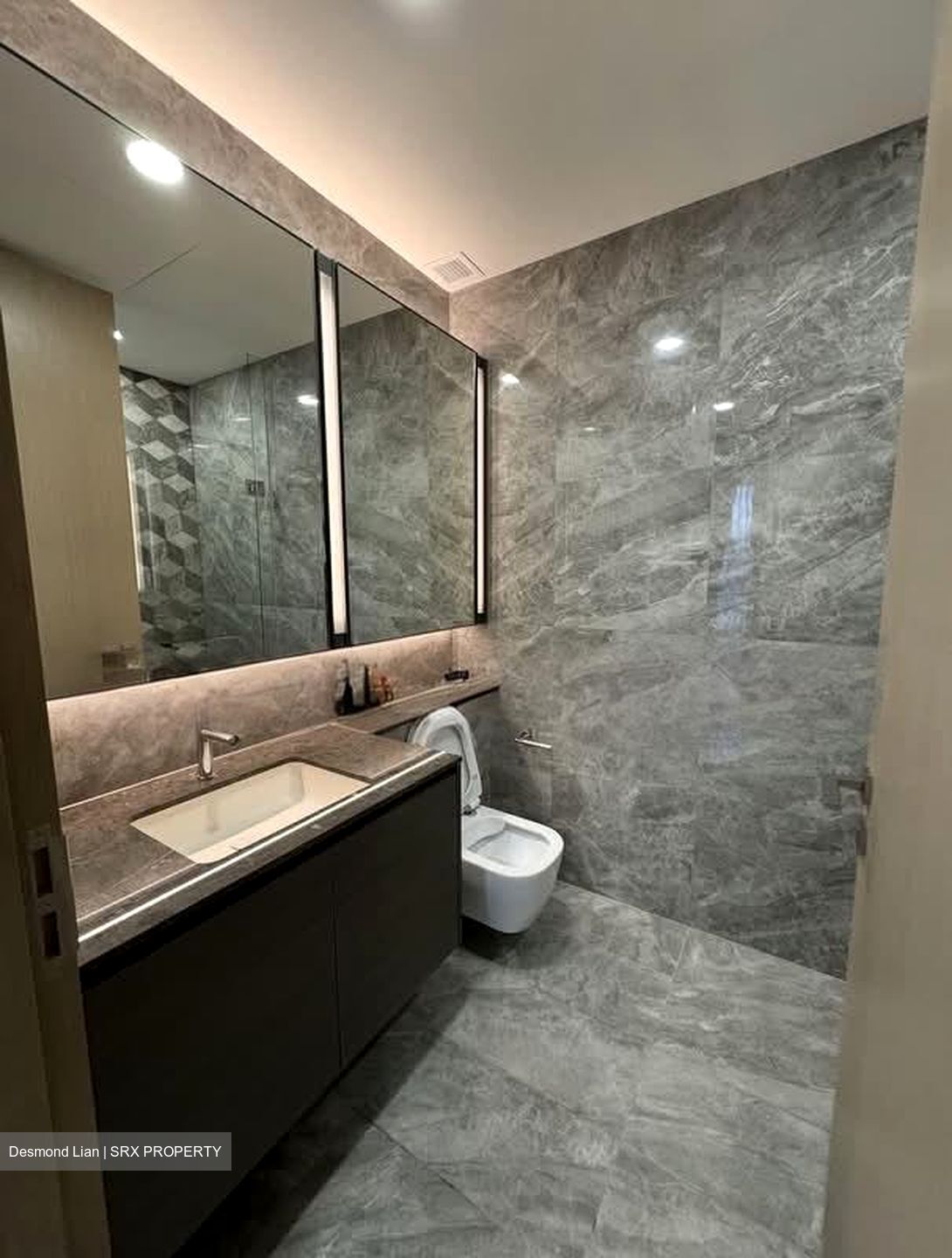 Leedon Green (D10), Condominium #554417931